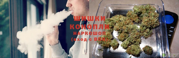 индика Абинск
