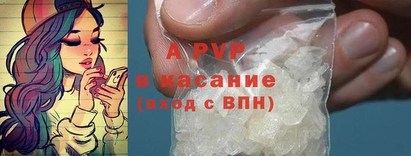 индика Абинск