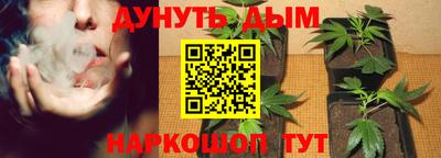 стафф Тара