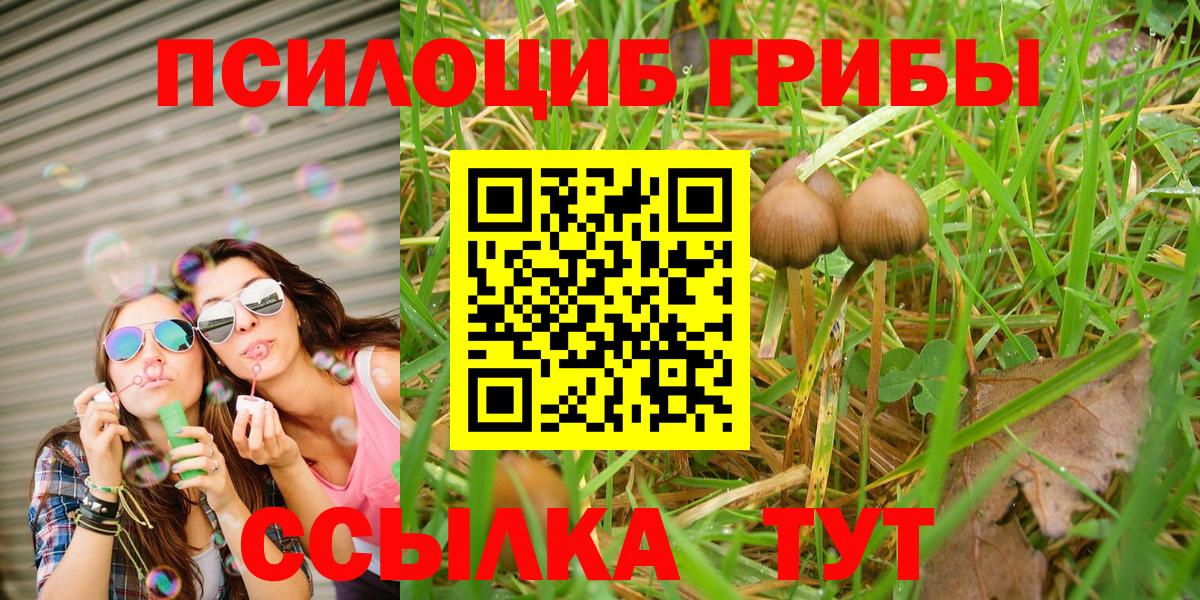 Псилоцибиновые грибы Magic Shrooms  Псилоцибиновые грибы мухоморы  Вход с VPN  Салават 